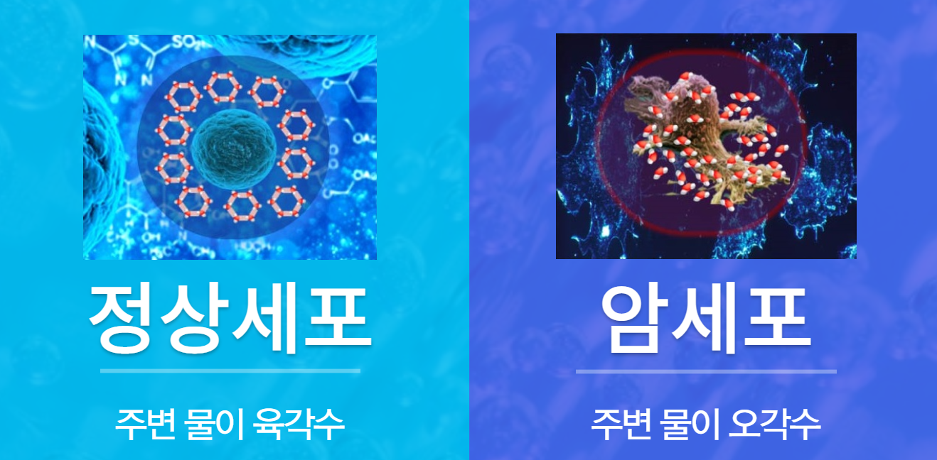 세포