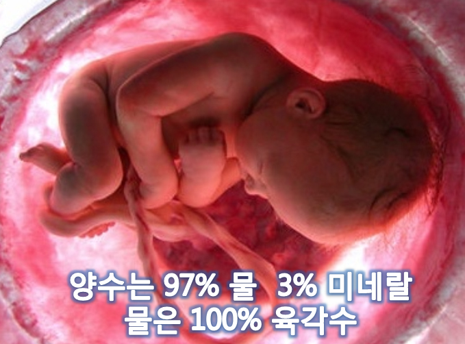 양수